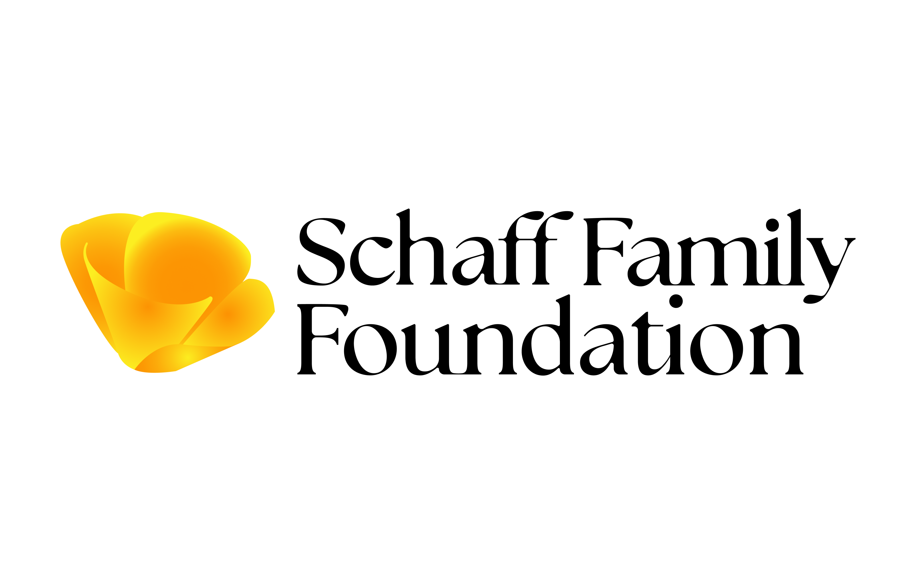 The Schaff Foundation